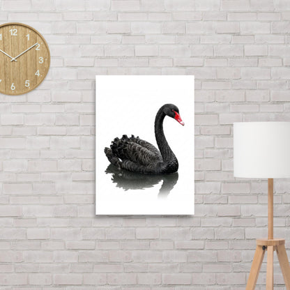 "Black Swan" finance matte poster